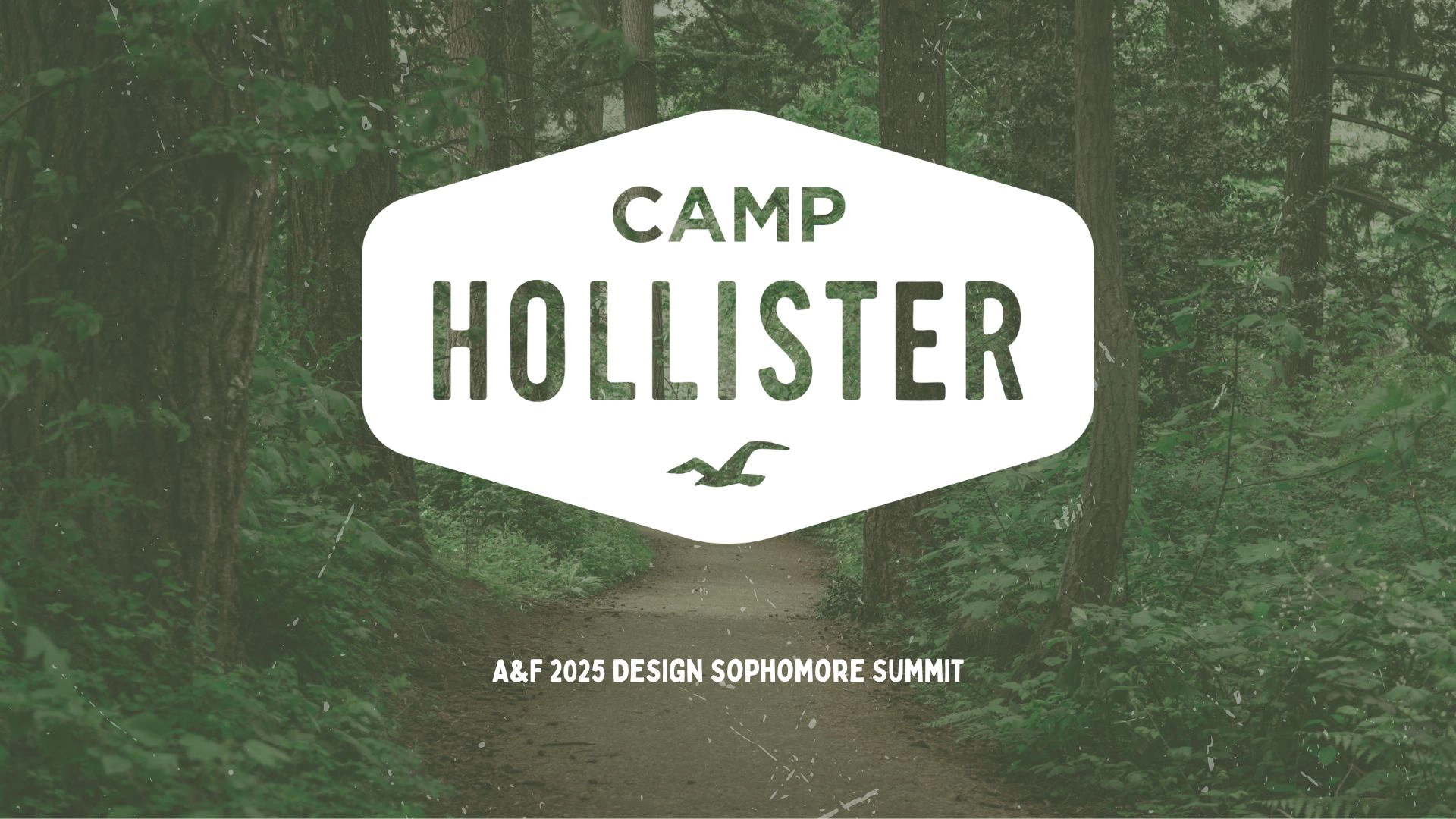 A&F Sophomore Summit